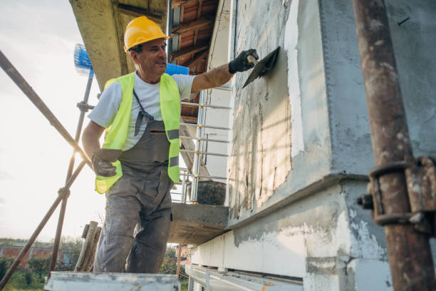 Best Attic Insulation Installation  in Freer, TX